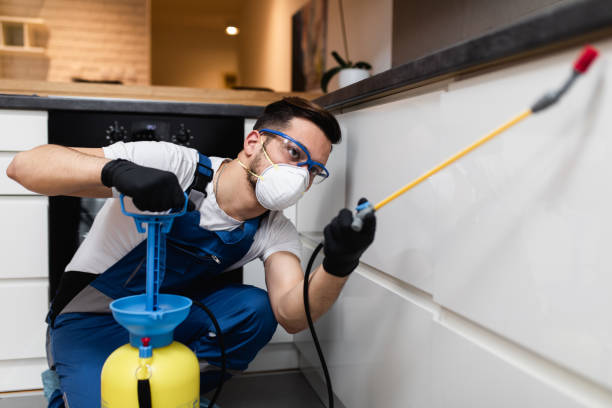 Best Pest Control Near Me in Gulf Shores, AL