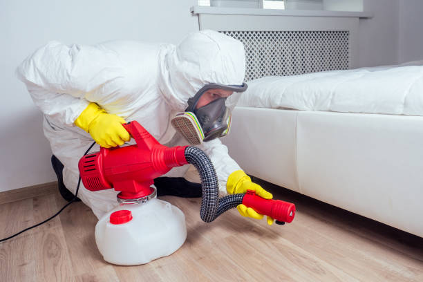 Best Pest Prevention Services  in Gulf Shores, AL
