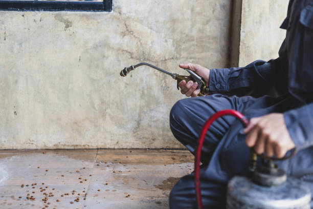 Best Emergency Pest Control  in Gulf Shores, AL
